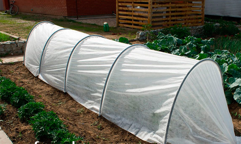 Greenhouse Fazenda - comentários de produtores de hortaliças sobre seu uso