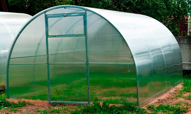 Greenhouse Agrosfera - comentários sobre os residentes de verão e suas recomendações