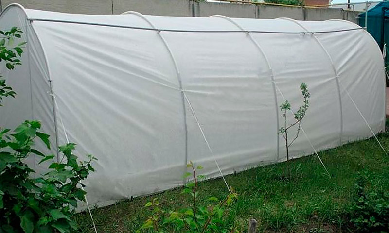 Greenhouse Dachnik - comentários e recomendações de jardineiros