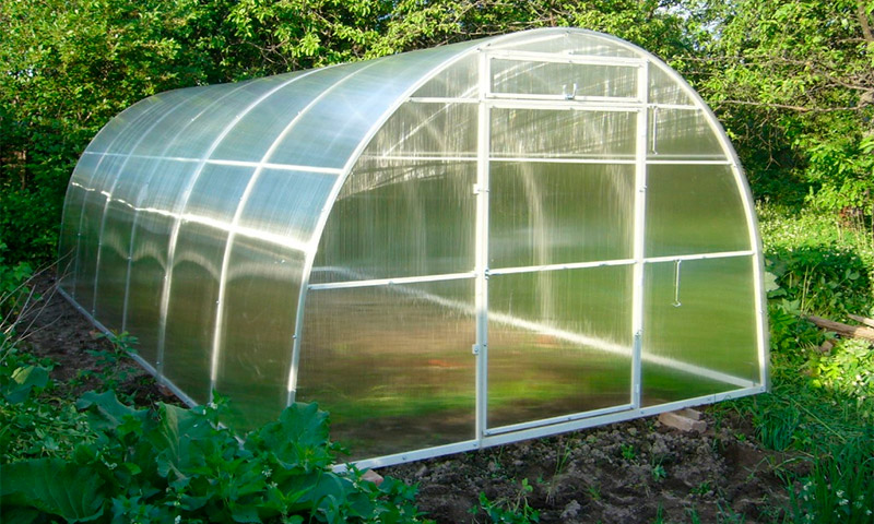Kama üvegház - a zöldségtermelők áttekintése és véleménye
