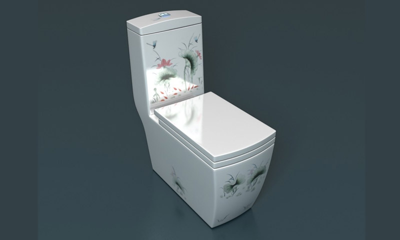 Toilettes monoblocs - avis d'utilisateurs et recommandations