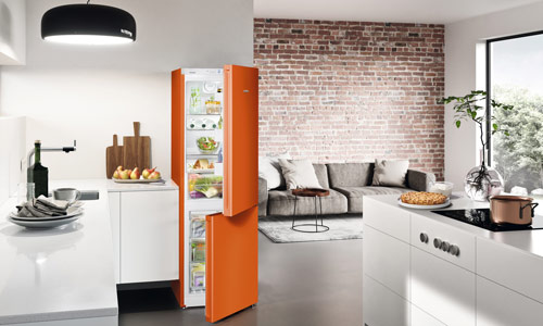 LIEBHERR refrigerators: the best models, product line and technical solutions