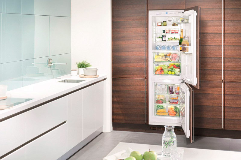 Tủ lạnh tích hợp với tủ đông